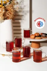 Tosyalı 6'lı Isıya Dayanıklı Borosilikat Cam Kupa Bardak
